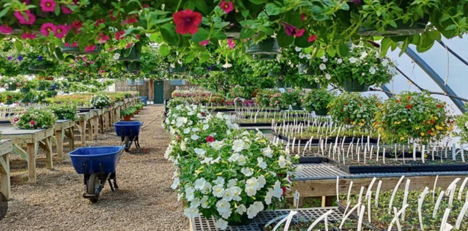 Battle Ground High School Plant Sale