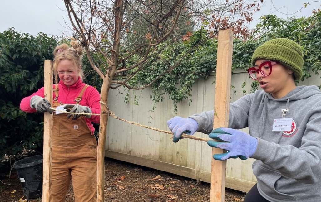 Fruit Valley Park Tree Planting