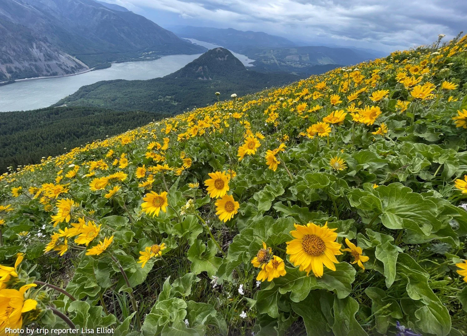 Augsperger Trail Day Work Party