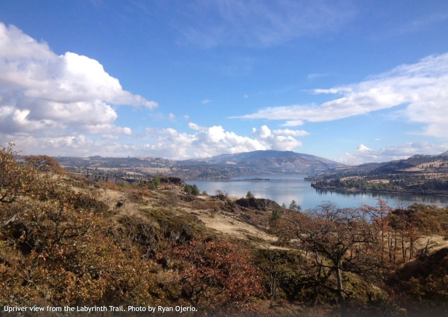 Coyote Wall - Labyrinth Trail Day Work Party with WTA