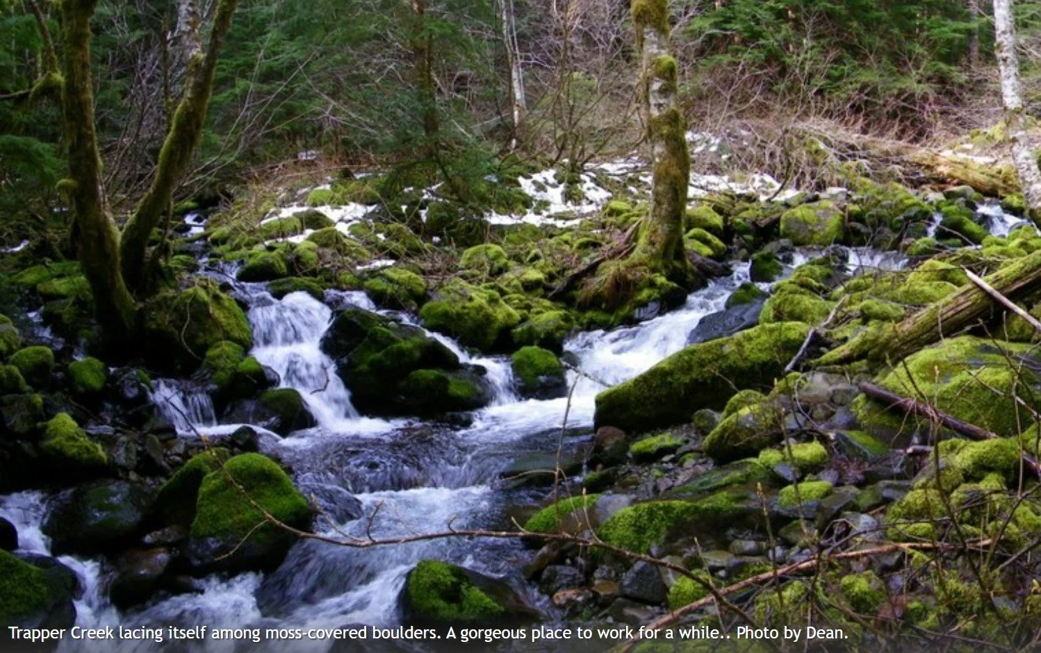 Trapper Creek Wilderness - WTA Logout Backcountry Response Team