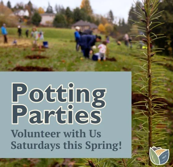 Potting Parties with Clark Conservation District