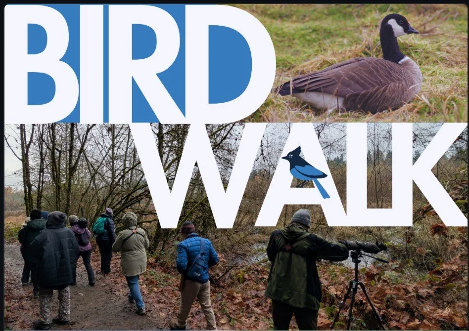 First of the Month Bird Walk 