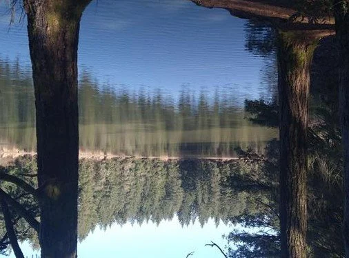 Camas Field Nature Walk