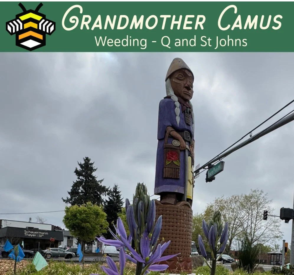 Weeding volunteer event at Grandmother Camus