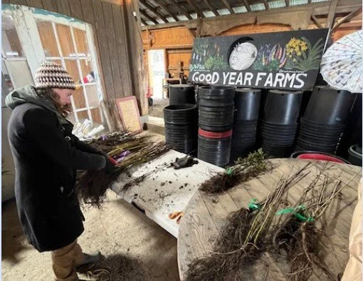 Good Year Farms volunteer work party