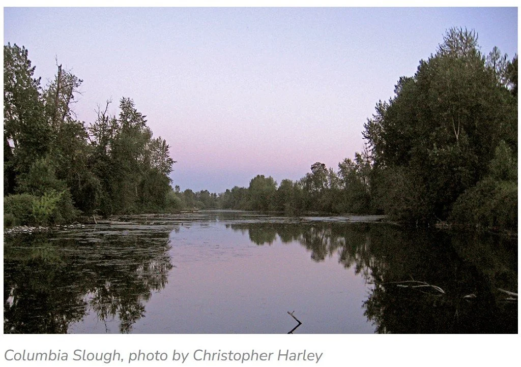 ROAD TRIP - Slough Fest along the Columbia River Slough