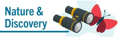 Kids & Tweens STEM Lab: Owl Pellets