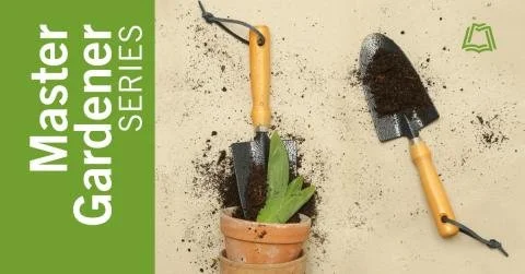 Lawn Reduction: Planning, Methods, Alternatives, and Inspiration Workshop