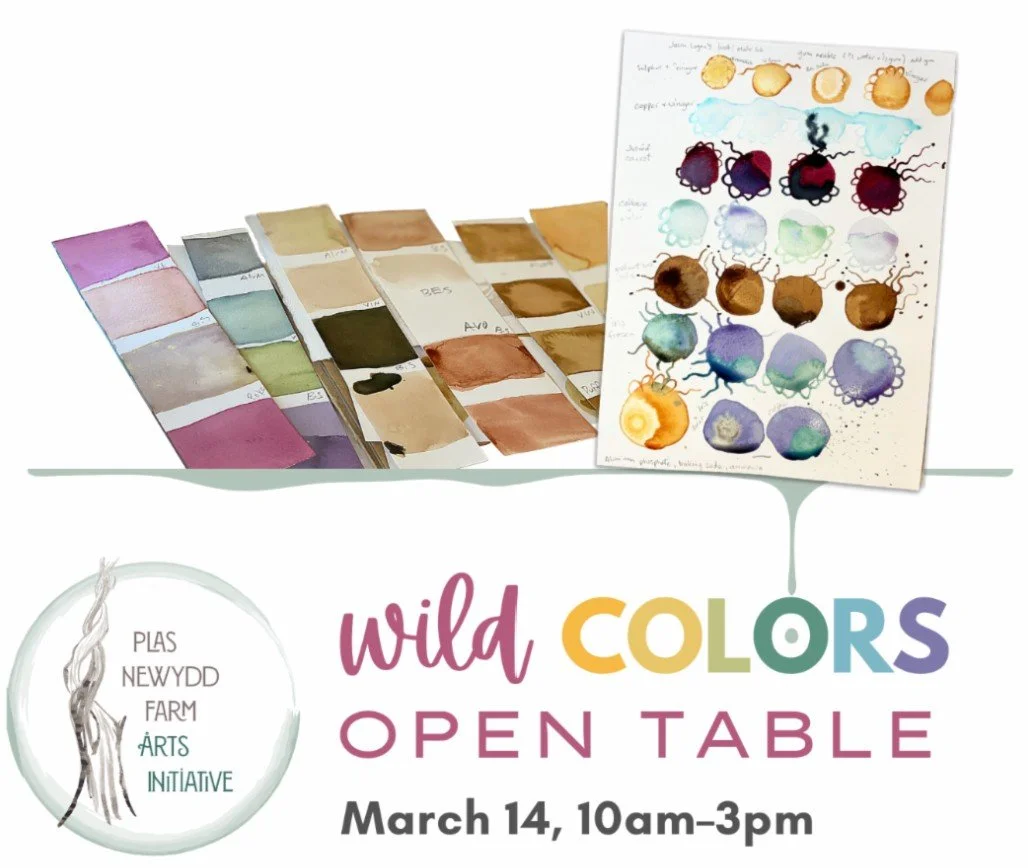 Wild Colors - Natural Pigment workshop
