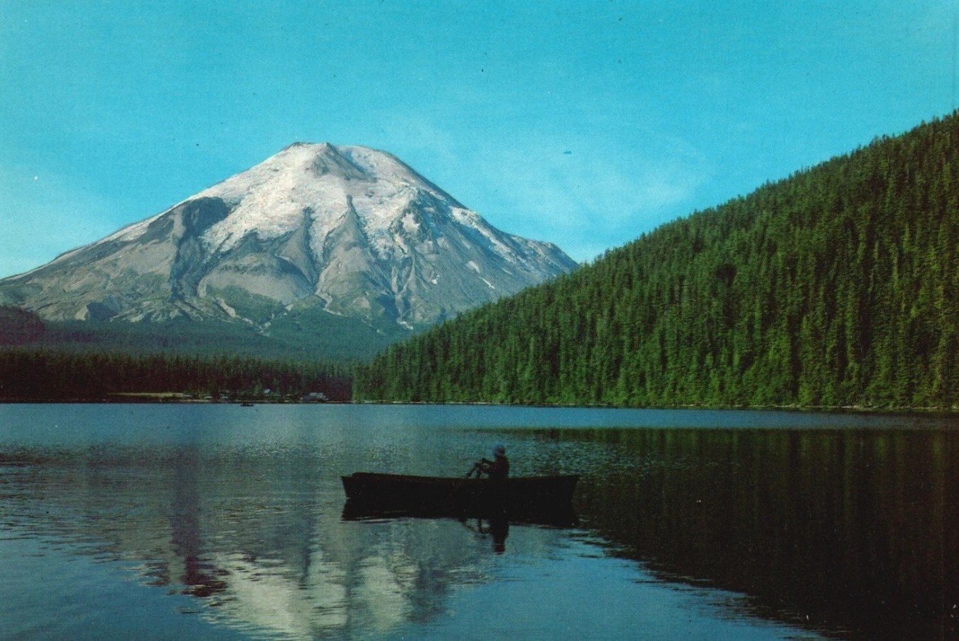 Life After the Great Eruption: Mt. St. Helens Visitor Center Talk