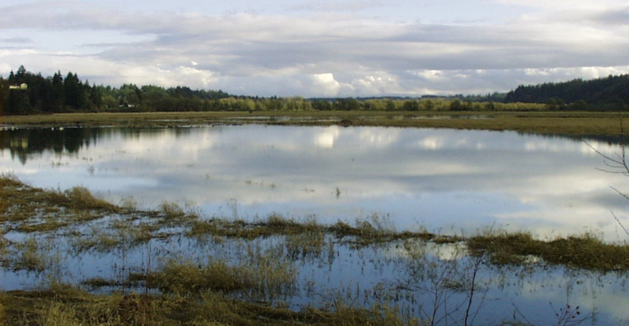 La Center Bottoms Bird Walk