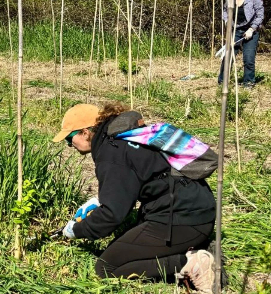 Ridgefield NWR Volunteer Stewardship Event