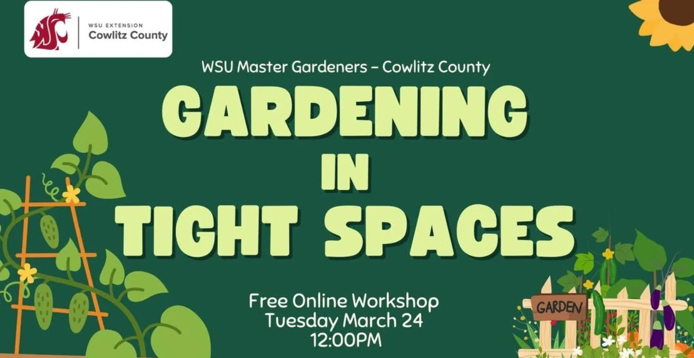 Gardening in Tight Spaces workshop with WSU Ext. Master Gardener