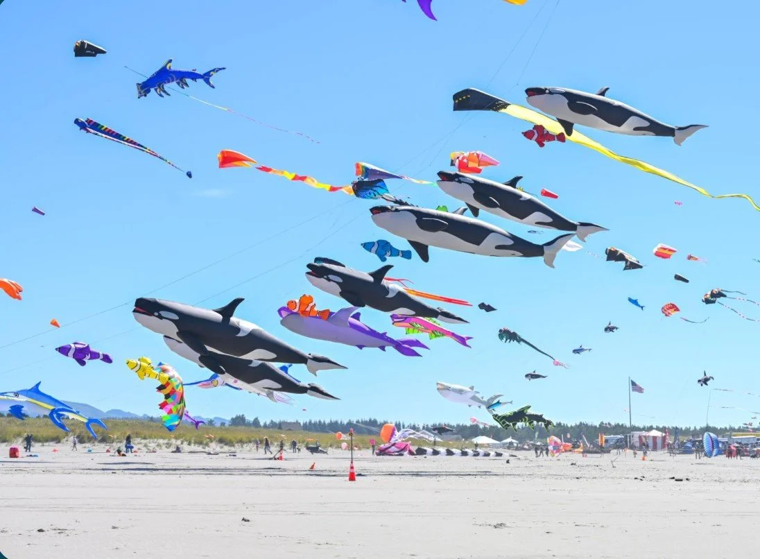 ROAD TRIP - Washington State International Kite Festival