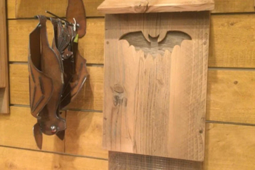 Virtual Bat Talk with Backyard Bird Shop