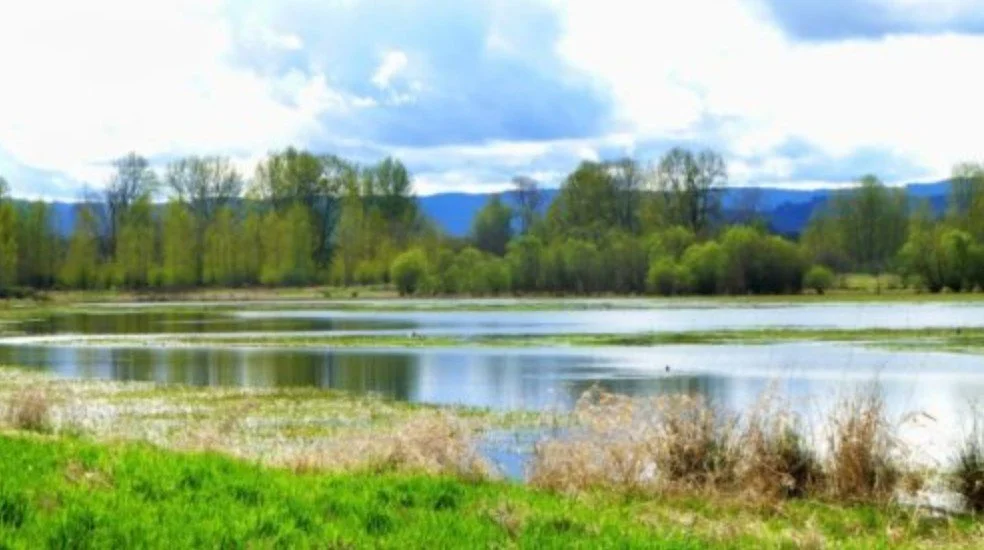 Bird Walk at Ridgefield NWR with Backyard Bird Shop