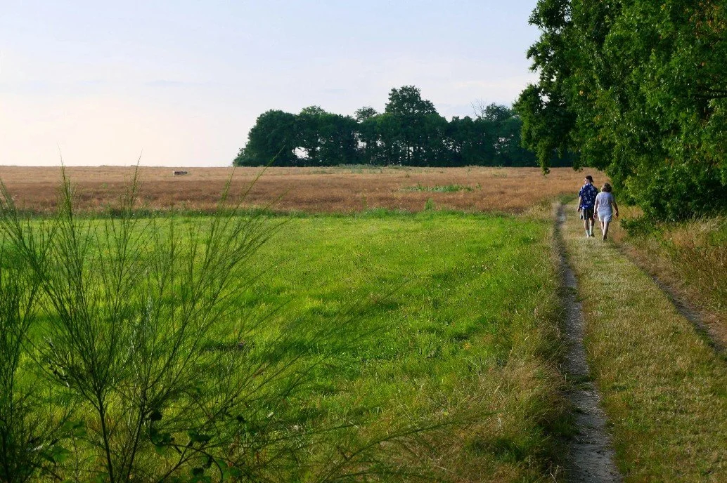 Heritage Farm Walk / Heritage Farm camina 