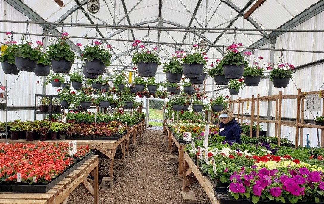 WSU Extension Master Gardener Mother's Day Plant Sale