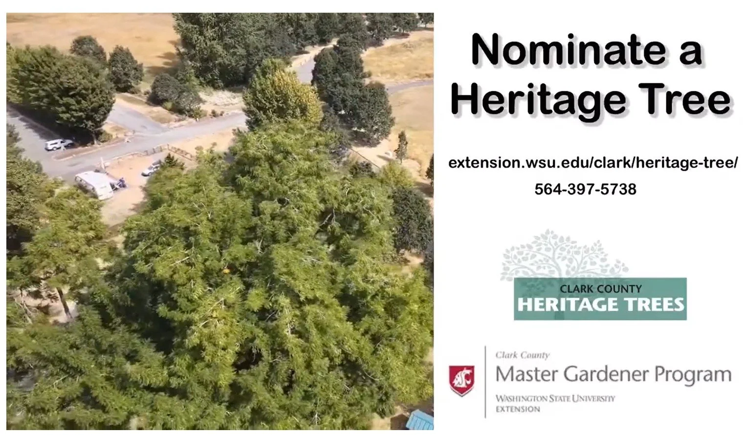 Nominate a Heritage Tree in Clark County!
