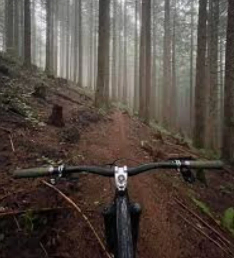 Thrillium Mt. Bike Trail Maintenance Work Party