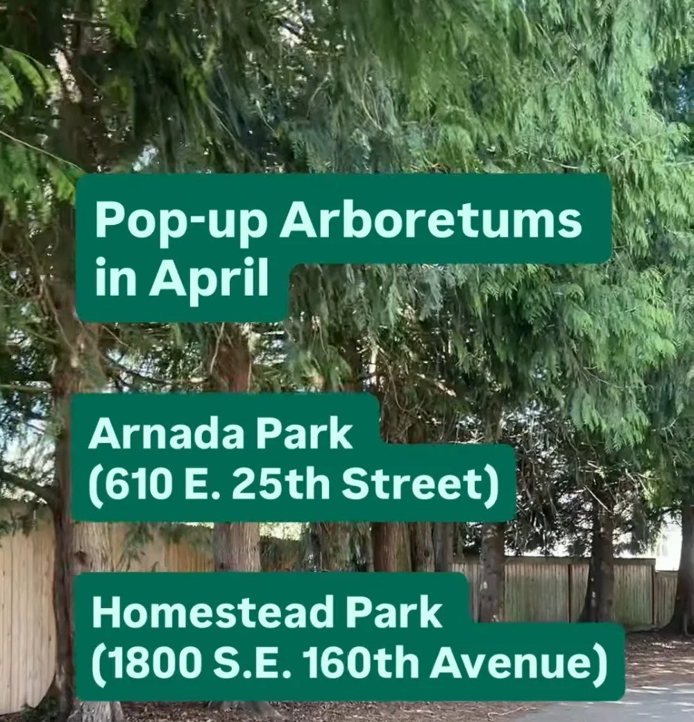 Vancouver Urban Forestry’s Pop-Up arboretum month