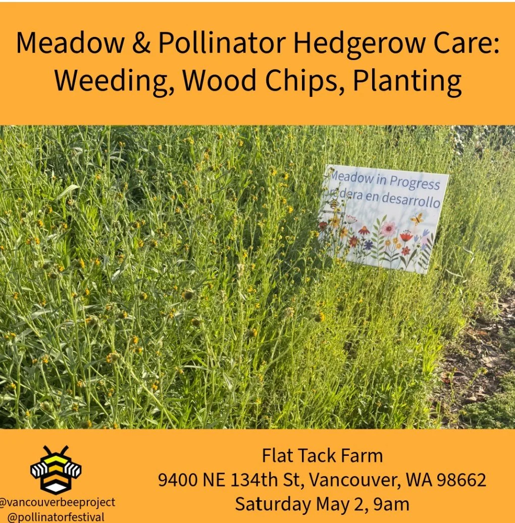 Meadow &amp; Pollinator Hedgerow Care Workshop