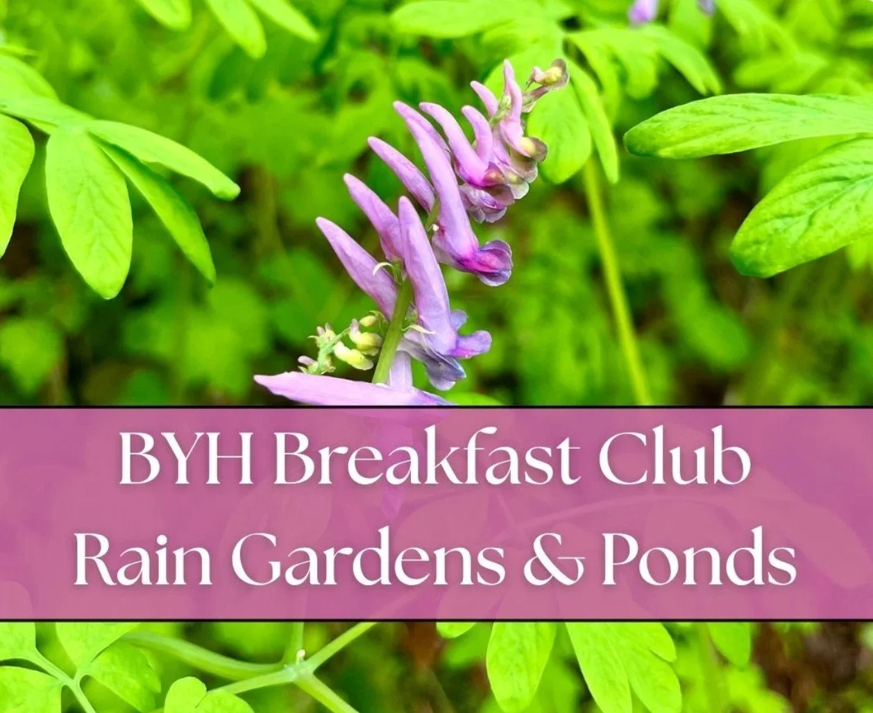Rain Gardens & Ponds Class at GYF