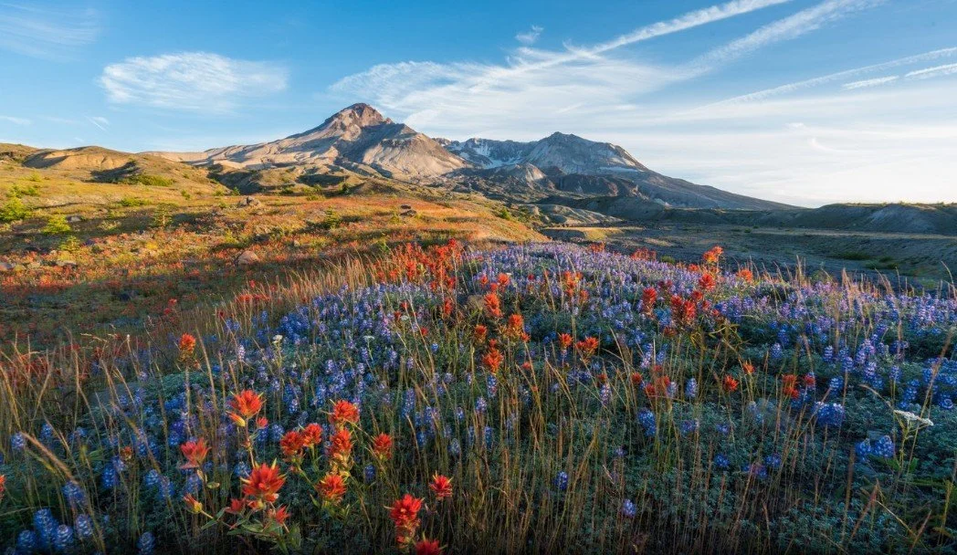 One Day adventure circumnavigating the Mount St Helens on the Loowit Trail with Mazamas