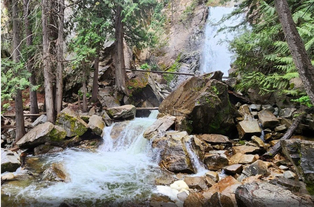 Falls Creek Falls hike with Mazamas
