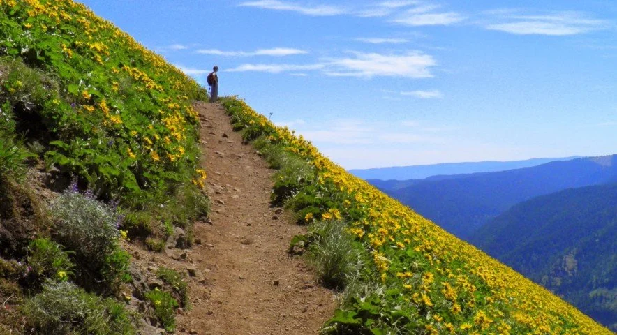 Dog Mountain Hike with Mazamas