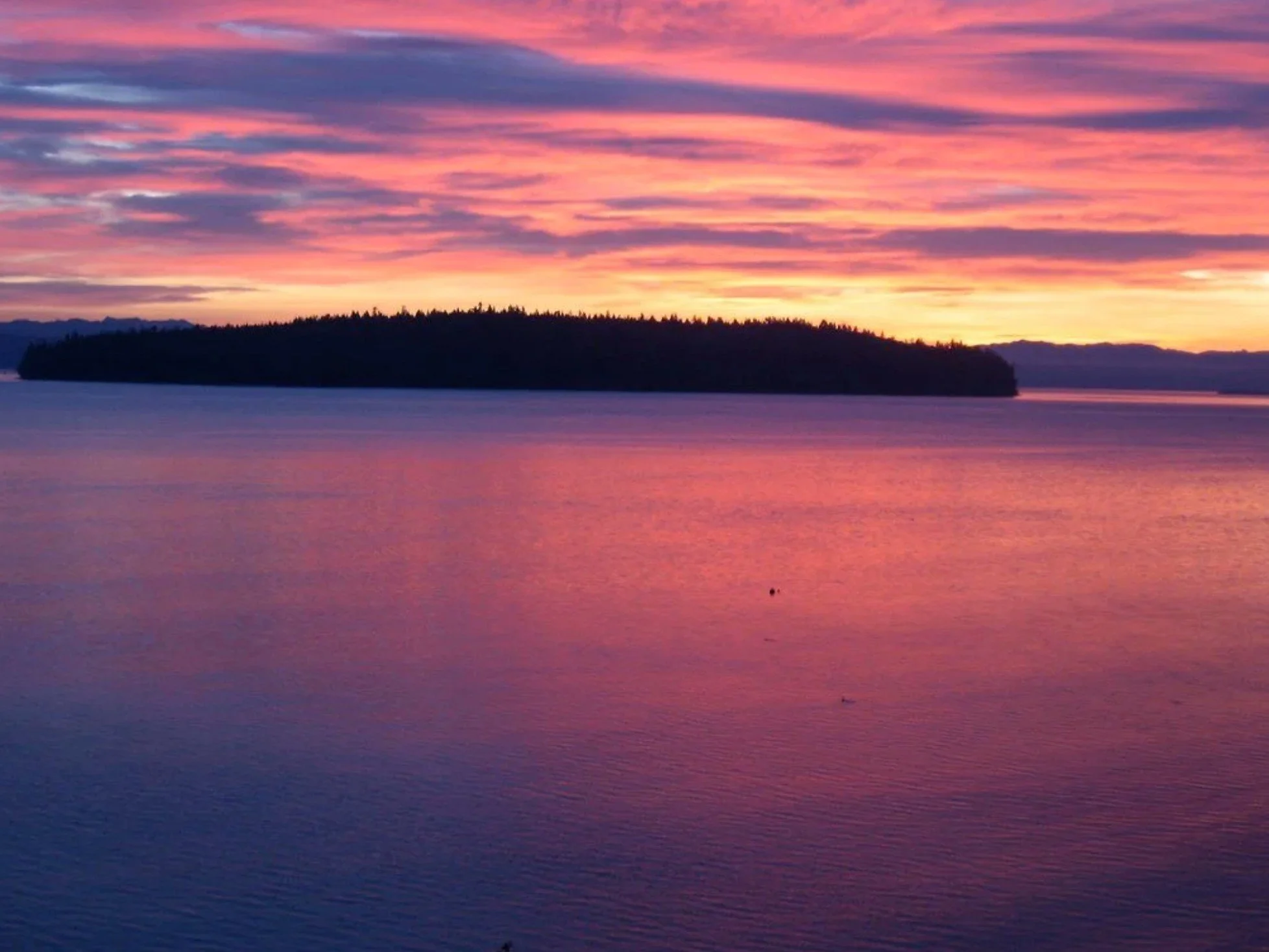 Wild Grief - On-line Walk