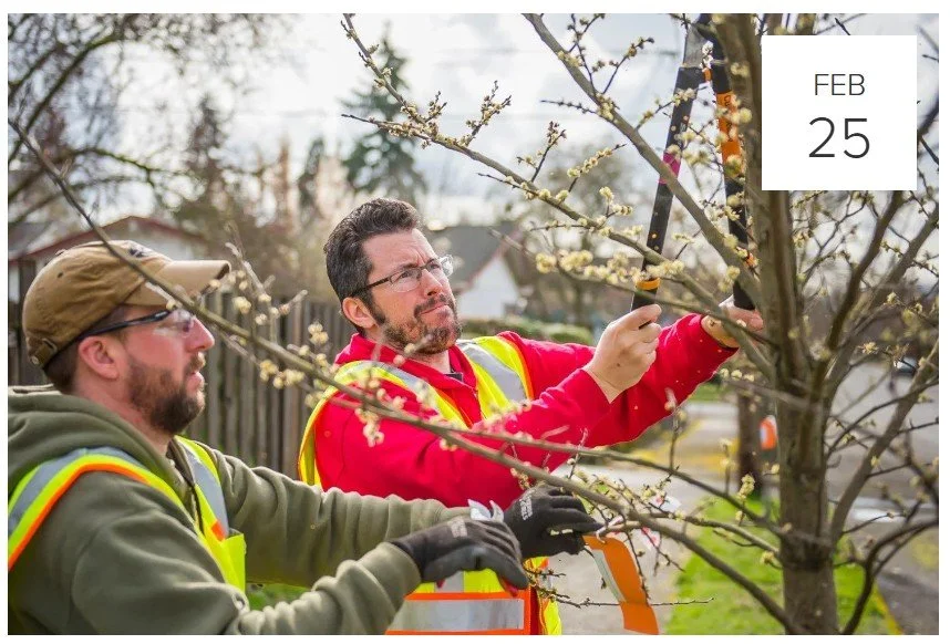 Screenshot 2026-02-21 142302.jpg