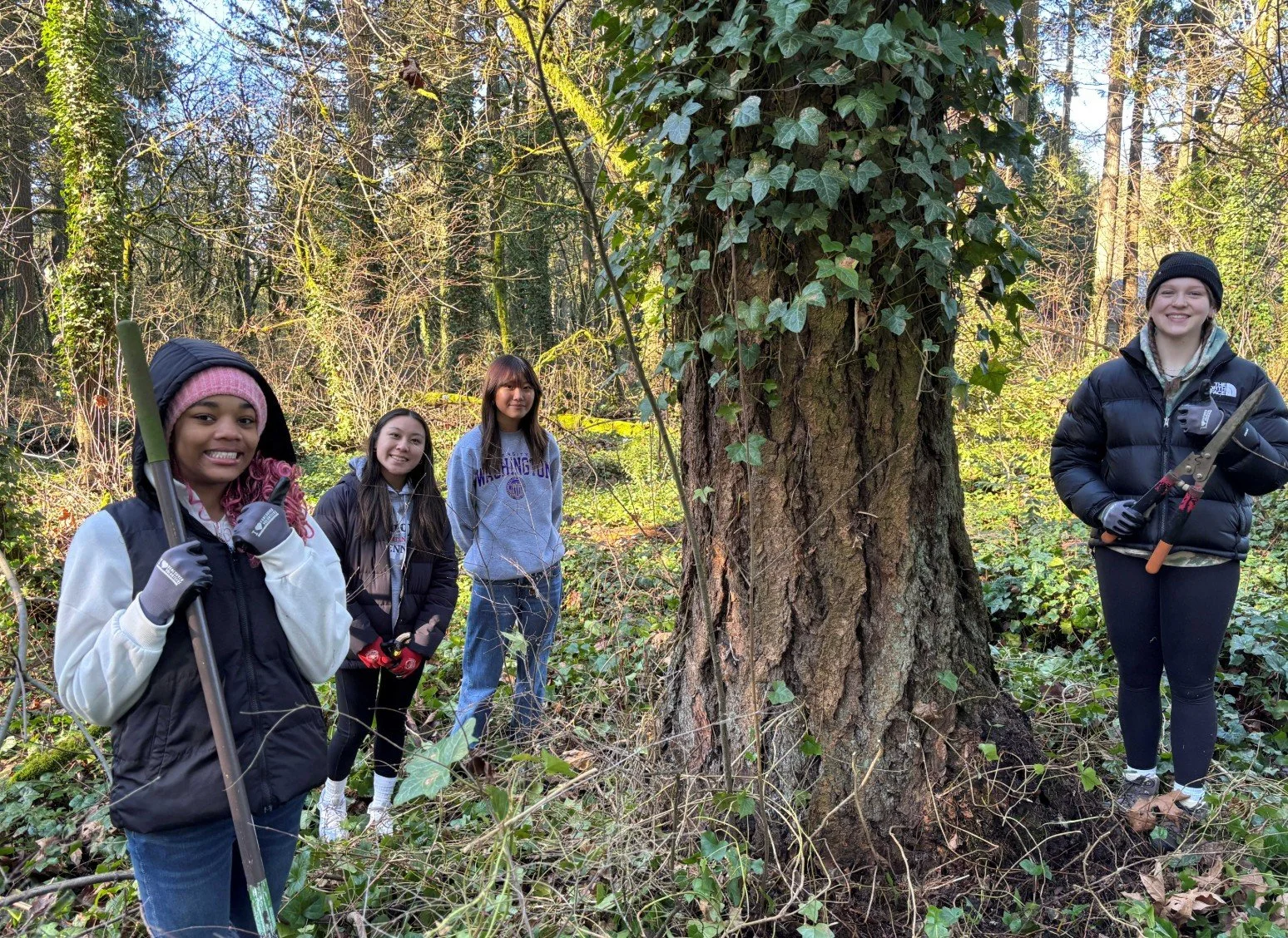 Adopt-A-Park Ellsworth Springs East Ivy Pull