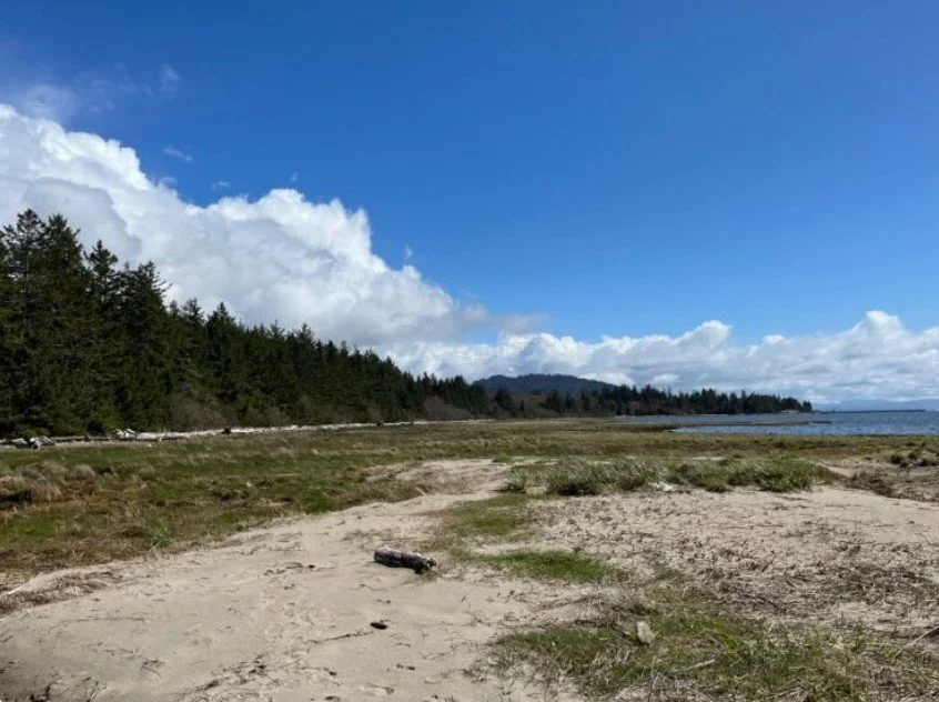 ROAD TRIP - Volunteer land stewardship at Baker Bay