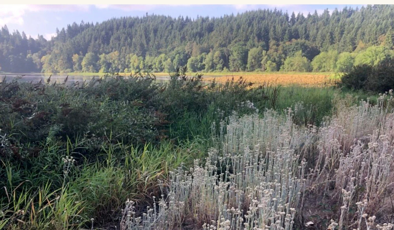 Land Collage — the poetics of place workshop