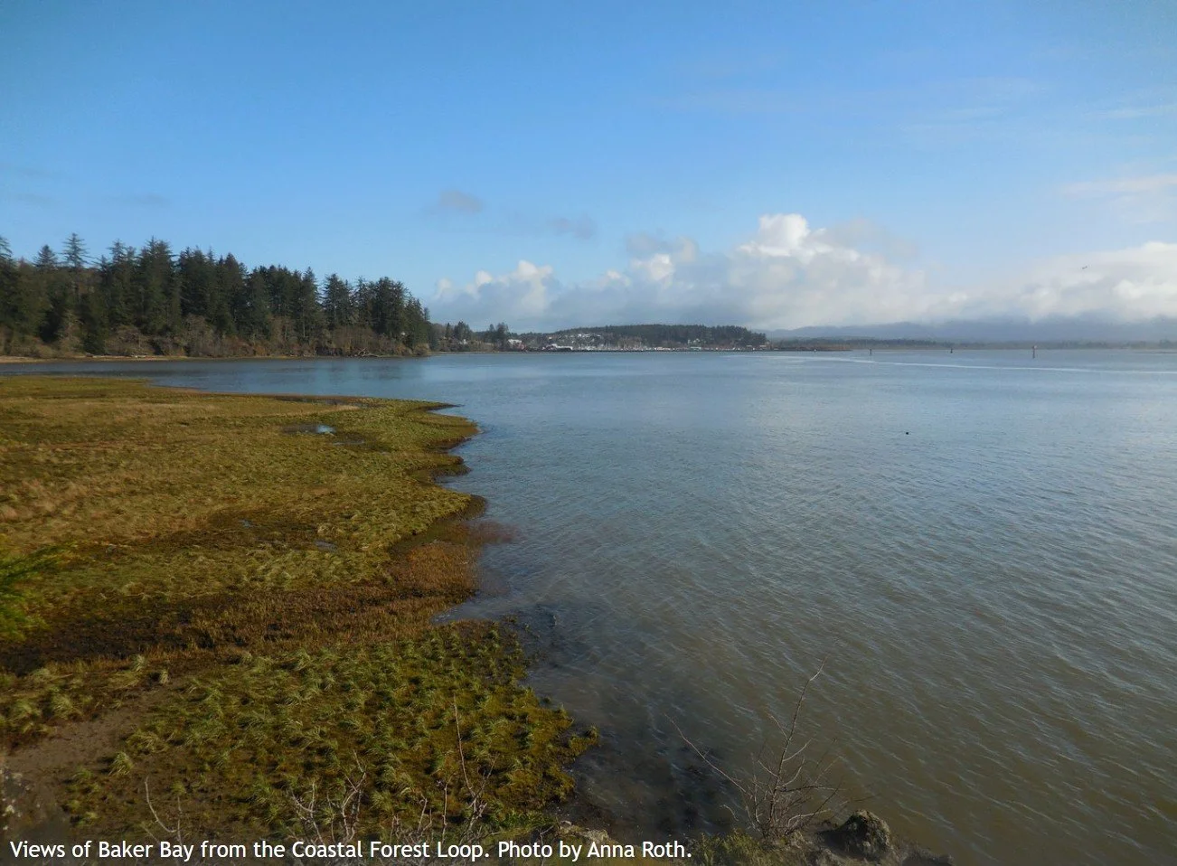 Cape Disappointment Weekend (+Friday)  Trail Work Party