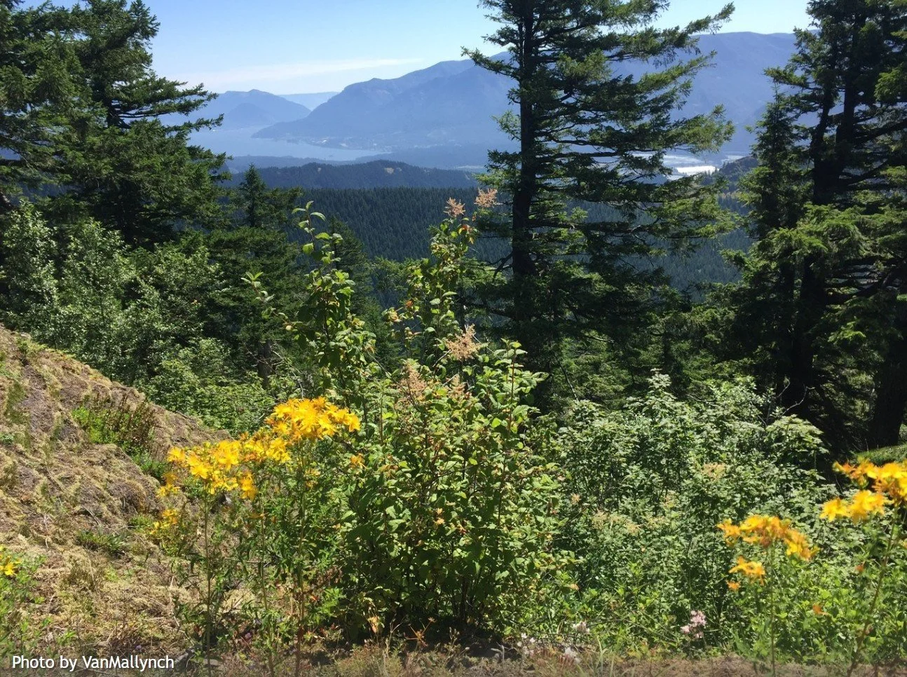 Beacon Rock Trail Day Work Party