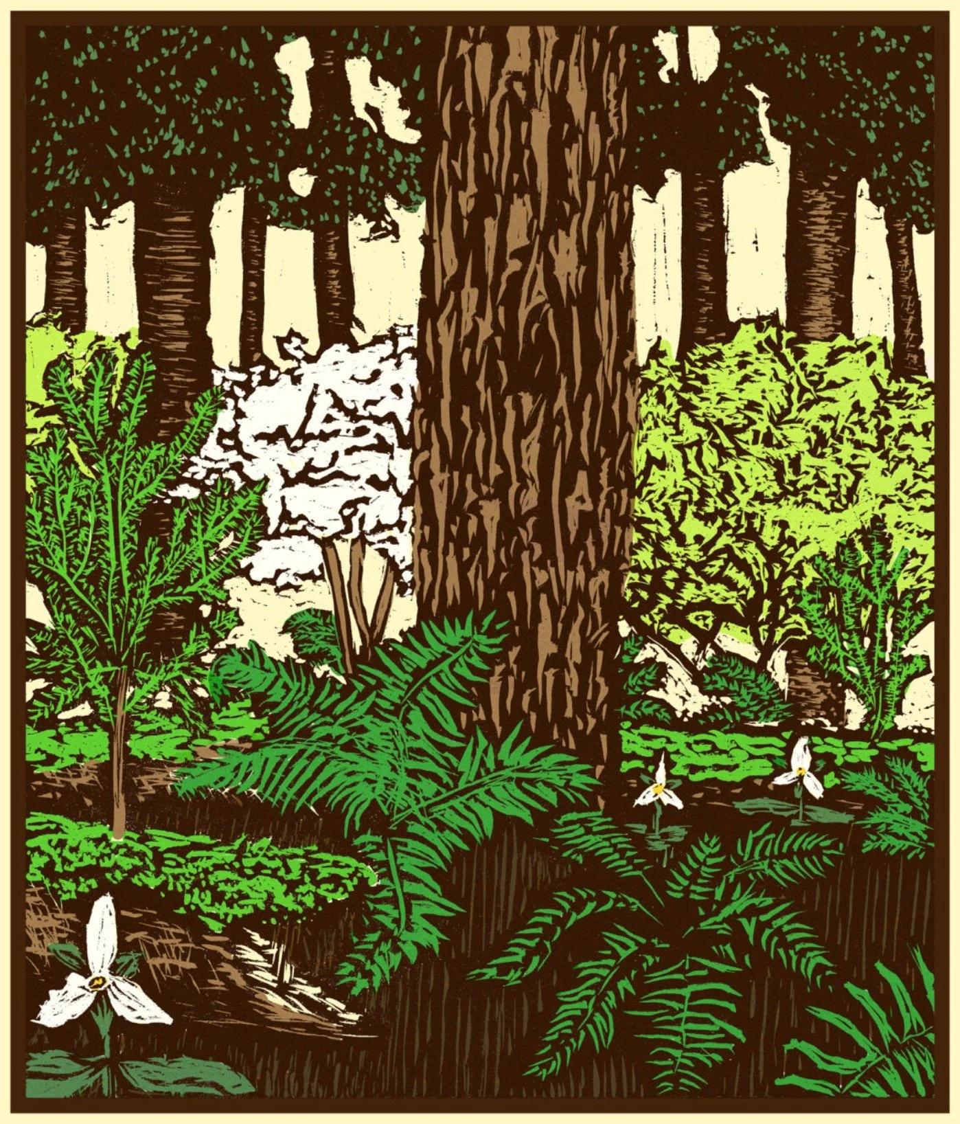 Understory: NW Film Festival