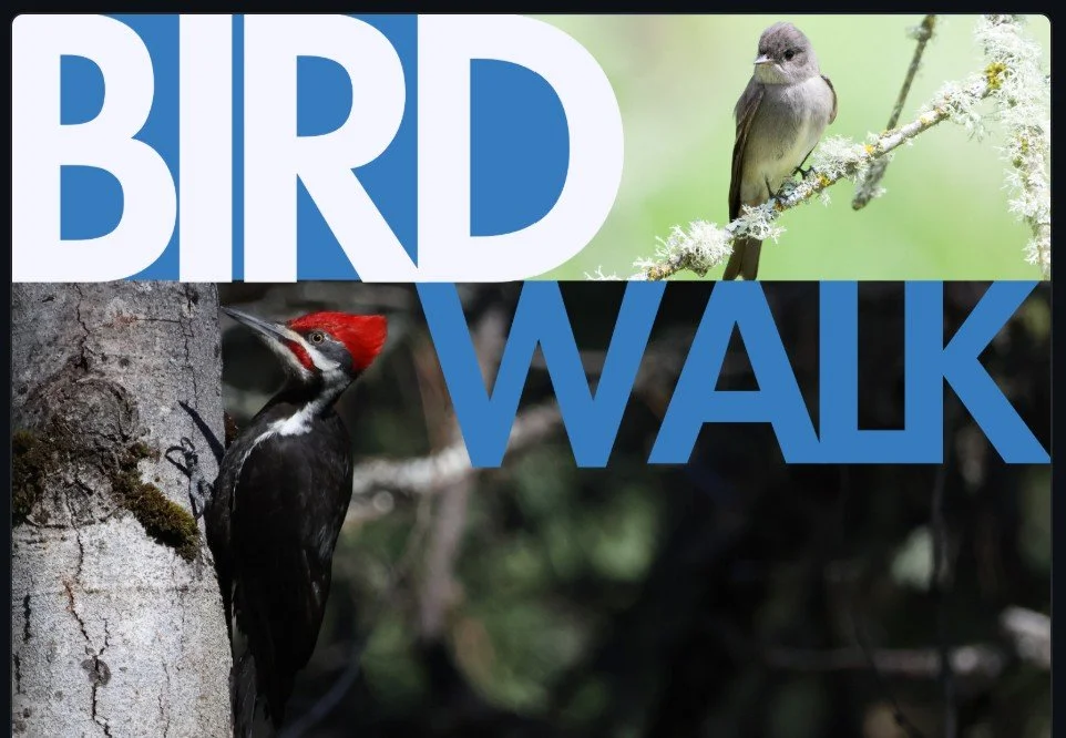 Bird Walk with VAS