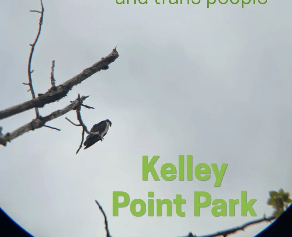 ROAD TRIP - BirdhersPDX bird walk at Kelly Point Park