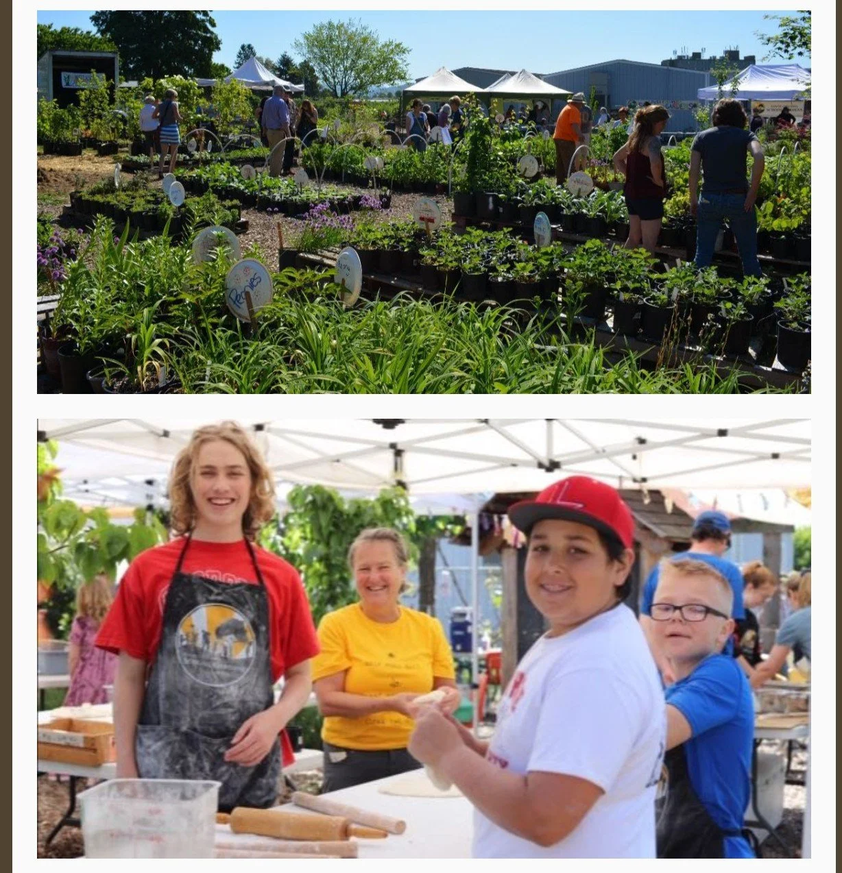 Plant Sale @ Northlake ES - Lower Columbia School Gardens 