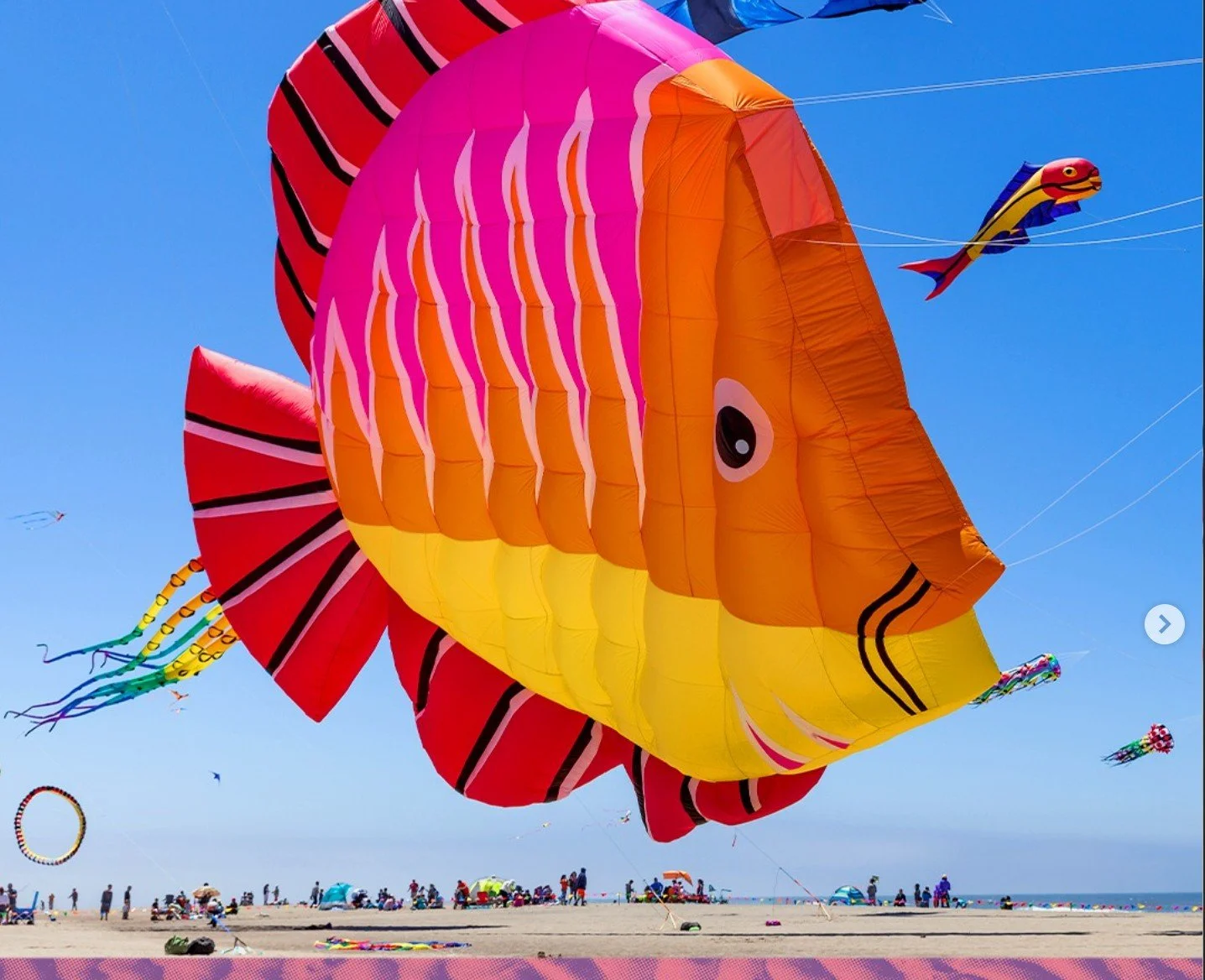 ROAD TRIP  - Lincoln City Kite Festival, OR