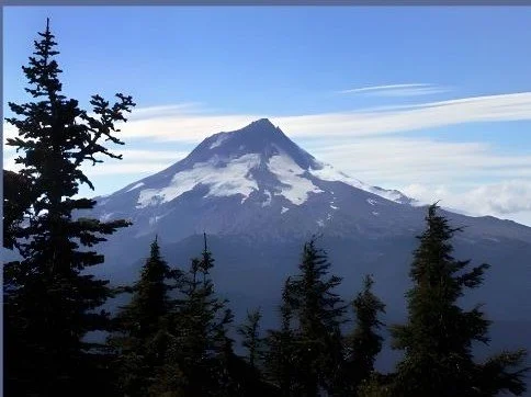 WNPS workshop: Managing Forests Fires in south Mt. Adams region