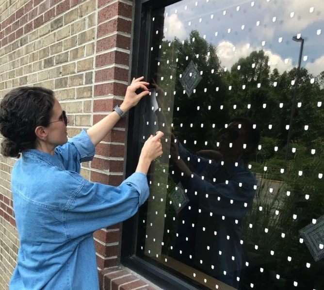 USFWS Workshop - Window Bird Collisions &amp; Human Intervention 