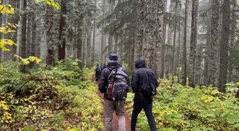Spring Geology Hike to Larch Mountain Crater