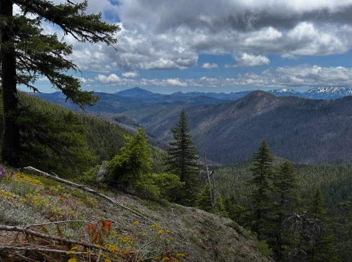 ROAD TRIP - Backpacking Fundamentals: Mount Hood with Opal Creek Center