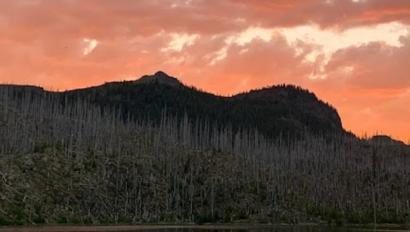 LGBTQIA+ Affinity Backpacking: Mount Hood with Opal Creek Center