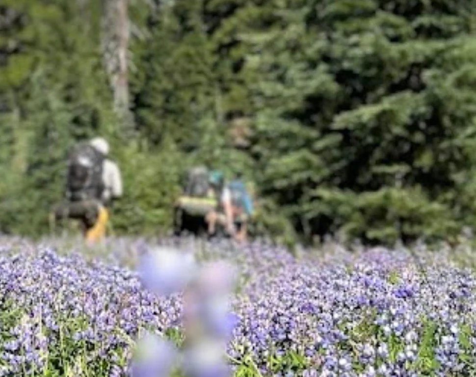 ROAD TRIP - Youth Backpacking: Mt Hood with Opal Creek Center