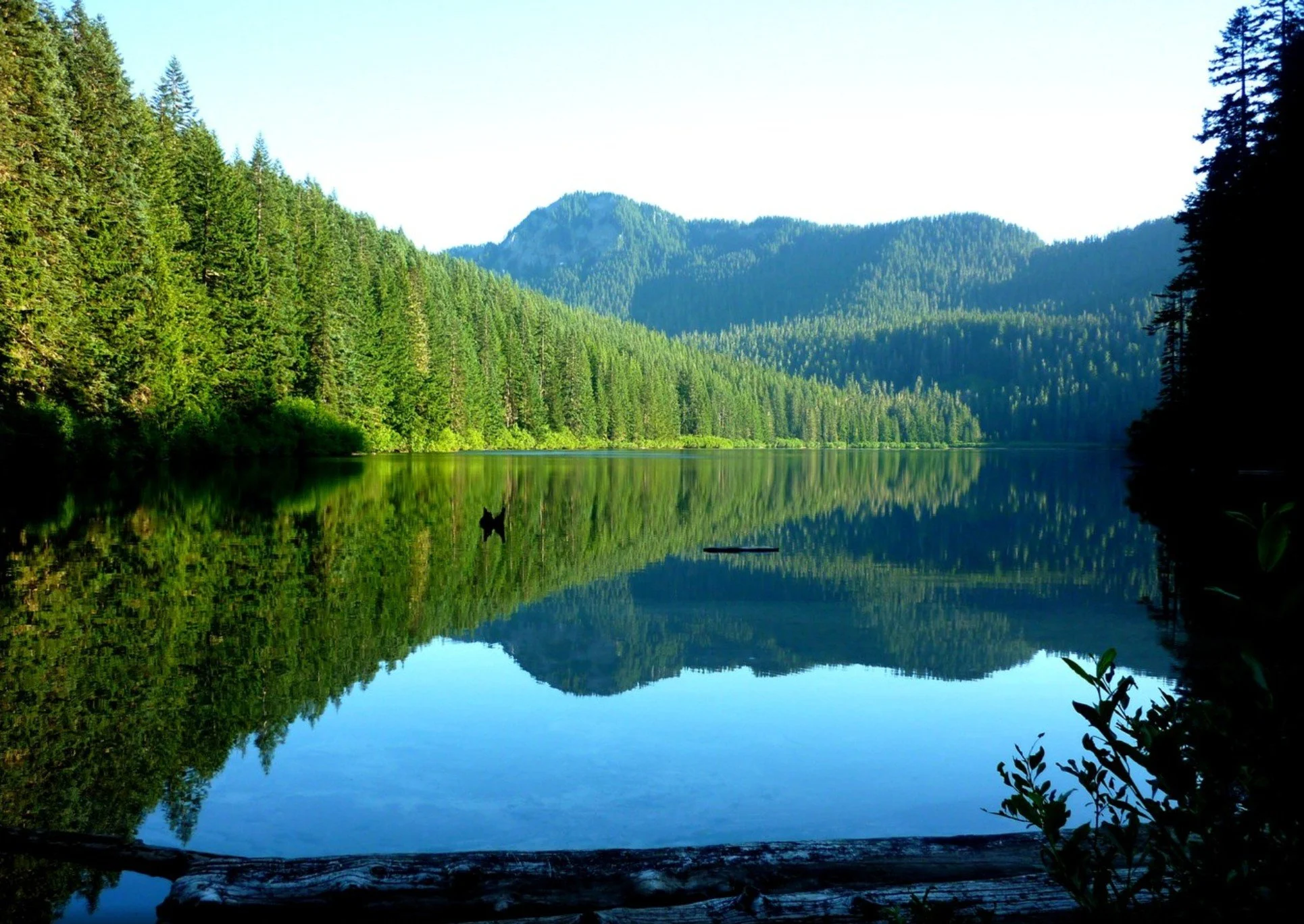 Gifford-Pinchot National Trails Day: Blue Lake Trail Improvement